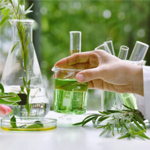 DRUGS VS BOTANICALS